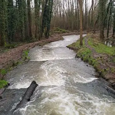 Photo de Buxford Fish Pass