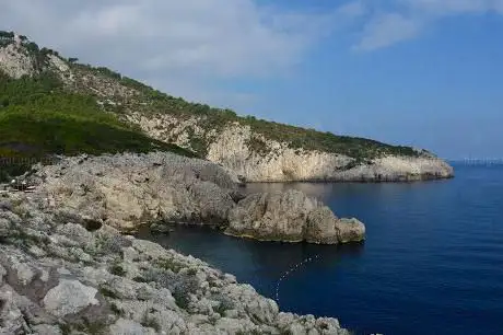 Photo de Pino Fort