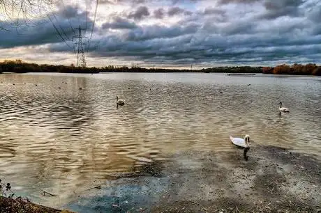 Photo de Holyfield Lake