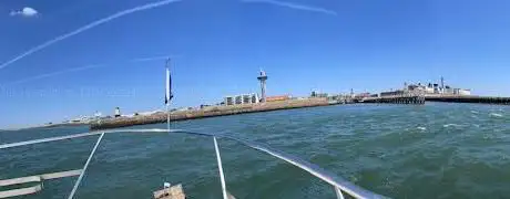 Photo de Zeehondensafari & Rondvaart Zeeland