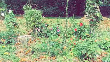 Photo de Durmetuin Tielrode