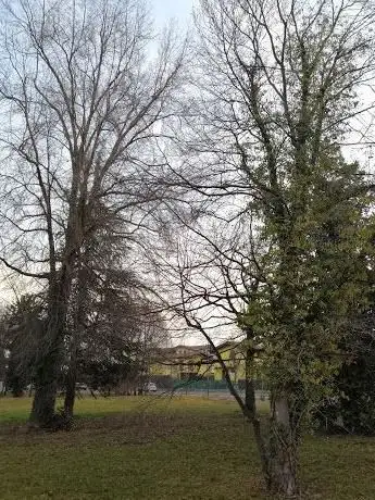 Parco Rita Levi Montalcini
