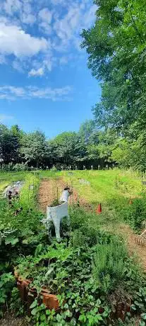 PermaChAM - Champ-Ã -Mailles en permaculture