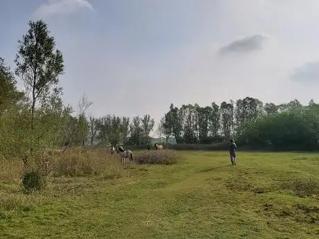 Photo de Reytmeersen
