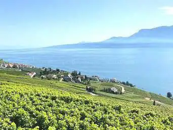 Grand Tour Of Switzerland Lavaux