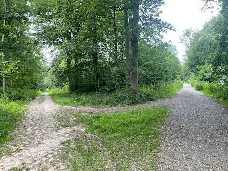 Photo de Bois de Mariemont