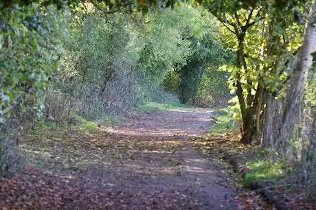 Photo de Stoke Wood