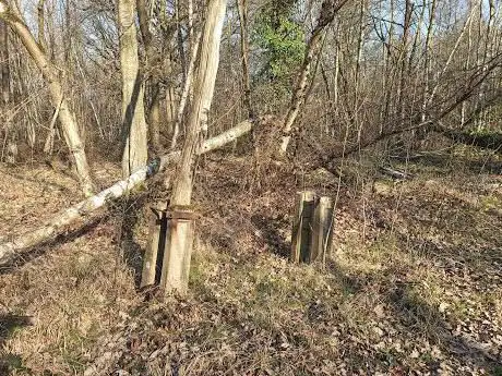 Photo de Bois régional de Célie