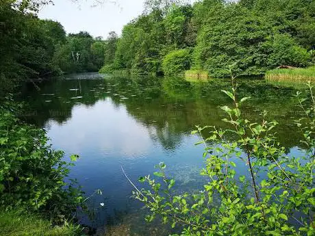 Photo de Digswell Lake
