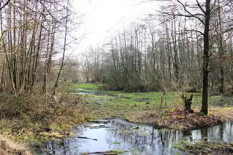 Photo de Natuur.huis De Rammelaars