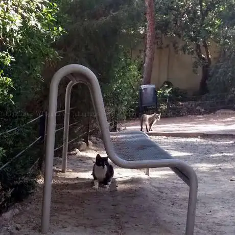 Photo de Parc del Mirador