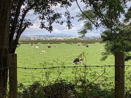 Photo de Heysham Moss Nature Reserve
