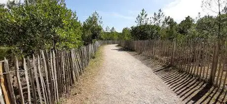 Photo de Forêt Dunaire José Zabala