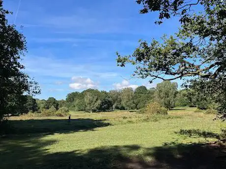 Langford Heathfield
