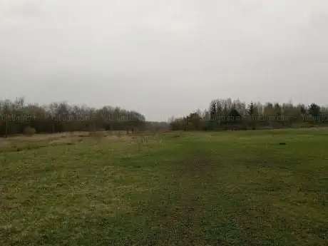 Viridor Wood