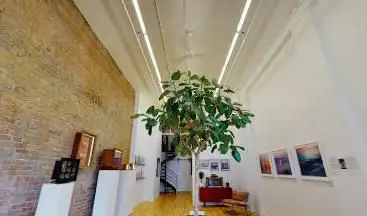 Wishbone Galerie D'Art