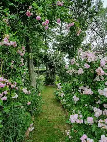 Le jardin de La Maison des Champs