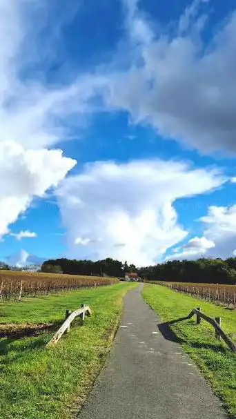 Photo de La Sauve Majeure