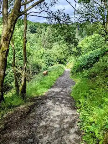 Photo de Glenariff