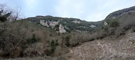 Photo de La Fortezza