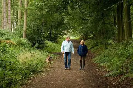 Delamere Forest - Forestry England