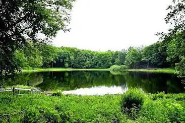 Reihenkrater Mosenberg und Horngraben