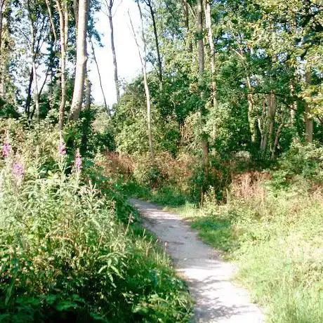 Obelisk Spinney Pocket Park