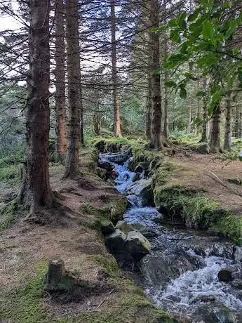 Photo de Glenmalure Forest