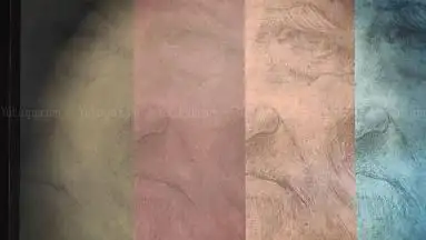 Leonardo da Vinci museum