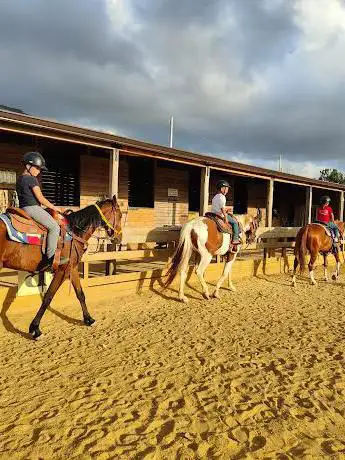 Photo de A.S.D. EQUESTRE OLD WEST