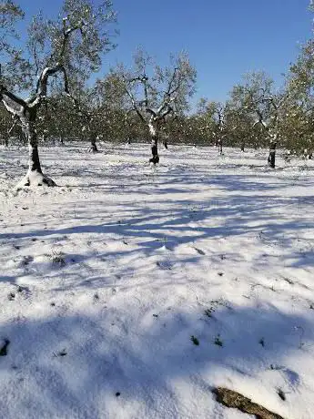 Photo de Boschetto Sant'Agostino