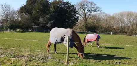 Photo de The Old Dairy Livery Yard