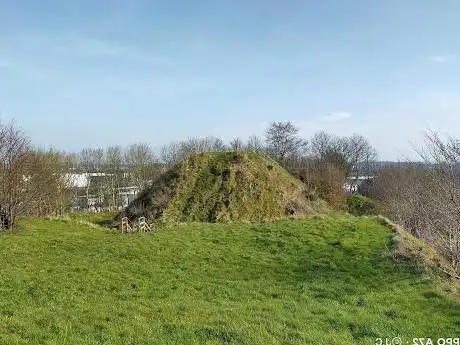 Photo de Harryville Motte and Bailey