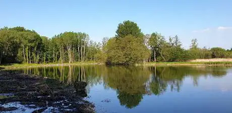 Torfbroek Fauna & Flora