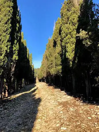 Photo de Viottolone Ginori