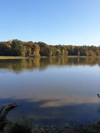 Nationaal Park De Maasduinen