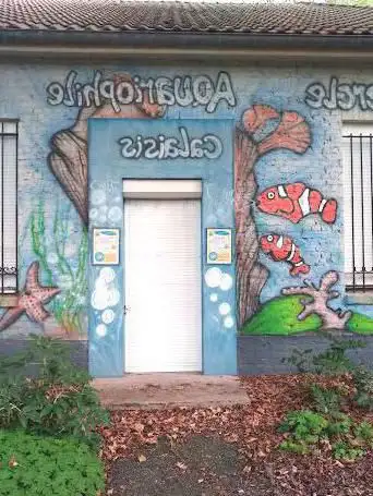 Cercle Aquariophile du Calaisis