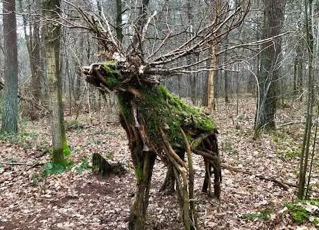 Natuurgebied Gerhagen