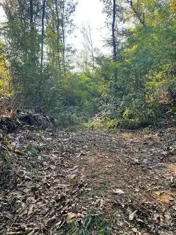 Sentiero da Brüsà a valle di Brugo
