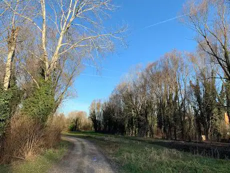 Photo de Oasi naturalistica della Restara