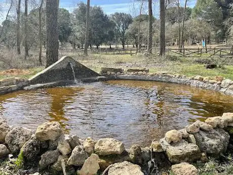 Photo de Laguna El Pinar, El Pego