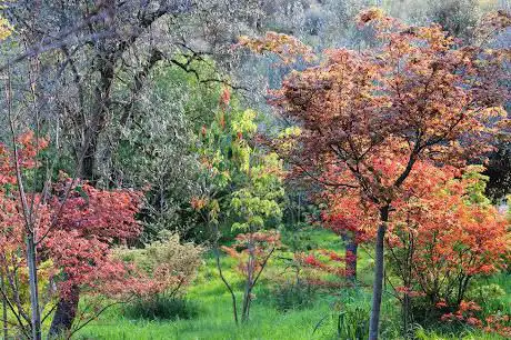 Photo de La Cianfronara