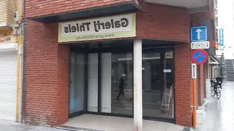 Galerij Thiels
