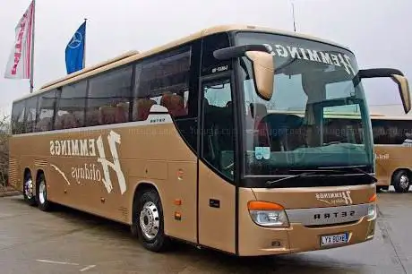Hemmings Coaches