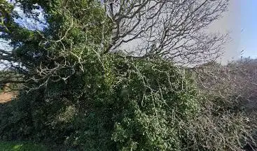Chemin des Bruyeres