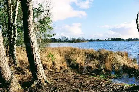 Stappersven
