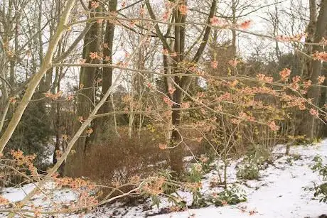 Jardin Le Vasterival
