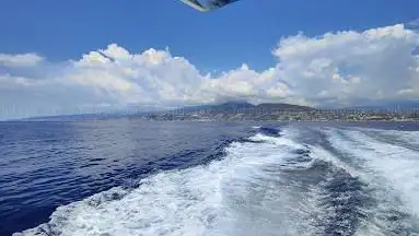 Photo de WhaleWatch