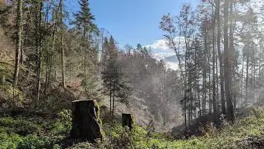 Aussichtspunkt Chaumont