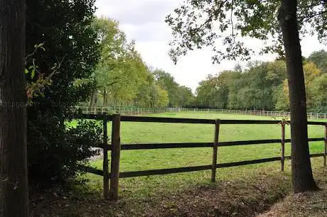 De Kwikaard